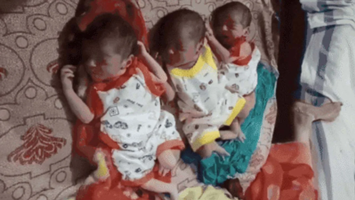 SATNA - जिला अस्पताल में 7 माह की गर्भवती ने 3 बेटियों को दिया जन्म