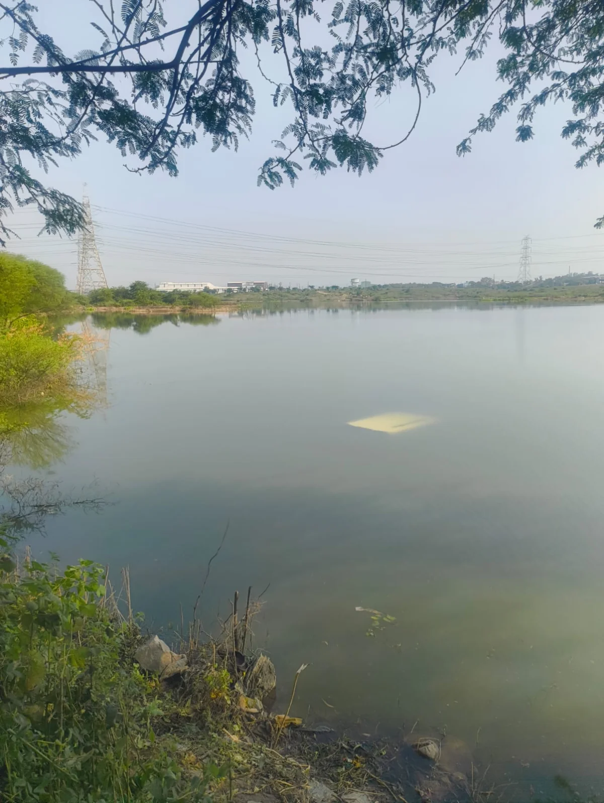 सिंगरौली जिले में दिखा तेज रफ्तार का कहर, अनियंत्रित होकर  वाहन टकराया पेड़ से, गिरा नदी में